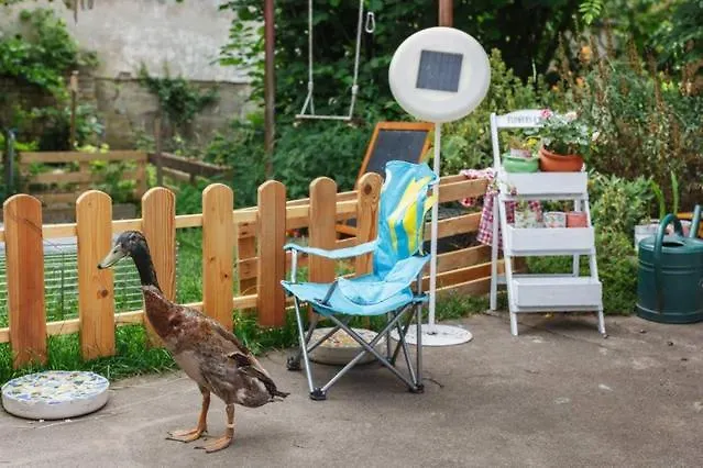 Schönes Eckzimmer Rum i privatbostad *